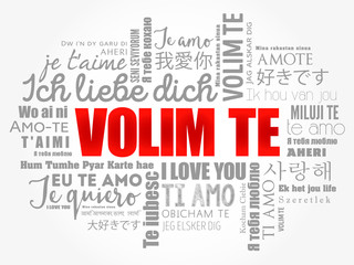 Fototapeta premium Volim te (I Love You in Croatian) word cloud in different languages of the world