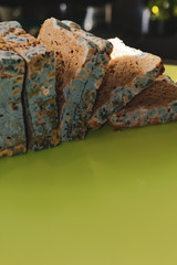 Mold on sliced bread