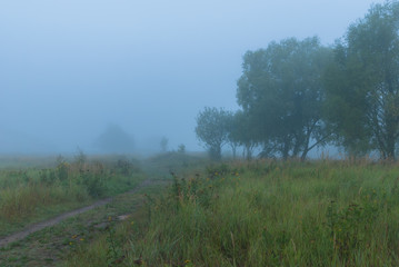 Obraz na płótnie Canvas A way in fairy fog early in the morning