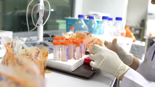 Asian science research about Cordyceps militaris,Experiment in the lab