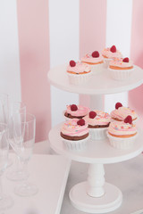 Cupcakes with raspberries. Natural light, pink background
