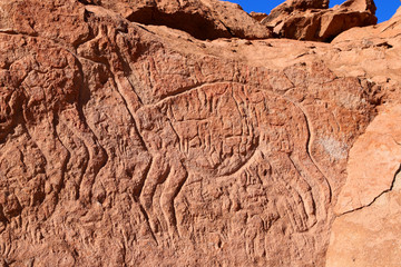Llama rock inscriptions in atacama desert