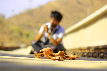autumn leaf on track with blur background