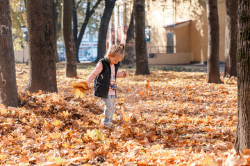 A cute little having fun in autumn in fallen leaves