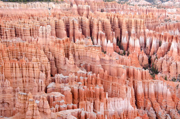 Closeup of Hoodoos seen from the Rim Trail, Bryce Canyon National Park, Utah, USA