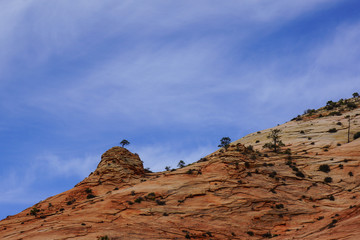 red rock mountain top in zion canyon