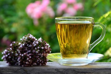 A сup of fragrant tea with fresh oregano on the background of the garden.