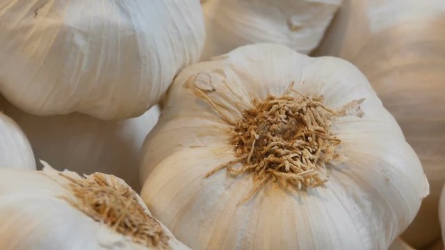 Big beautiful heads of white ripe garlic on the market counter