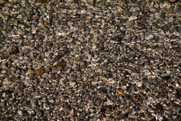 water with pebbles rocks. texture. background