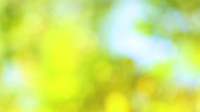 Beautiful soft green and yellow nature bokeh background. Real time full hd video footage.