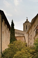 Fototapeta na wymiar Catholic cathedral and medieval buildings in Girona, Spain.