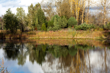 Fototapeta na wymiar Landscape with lake and yellowed trees