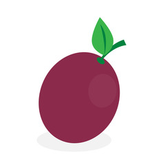 Passion fruit with branch icon