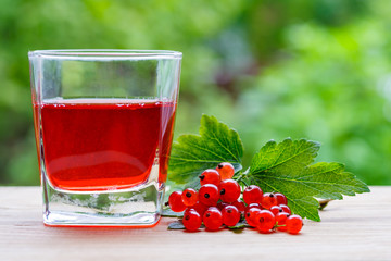 A glass with red currant juice and a branch of berries with leaves on a wooden table on a background of green garden in bokeh with copy space (shallow depth of field)
