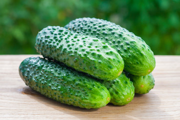 Close up view on a pile of fresh cucumbers on a wooden table on a background of green garden in bokeh (shallow depth of field)