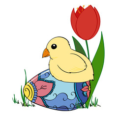 Baby Chick sitting on an Easter Egg