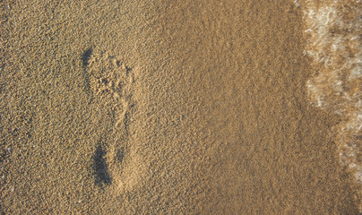 bare foot print on sand textured background surface of beach waterfront shoreline near sea, simple pattern concept of summer vacation and empty copy space for your text or inscription 