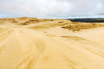 Overlooking Giant sand dunes, Te Paki, Northland, North Island, New Zealand
