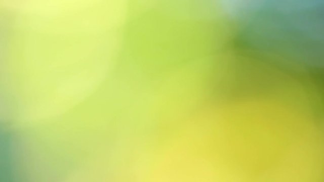 Beautiful soft green and yellow nature bokeh background. Real time full hd video footage.