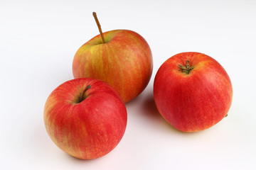 Champion apples on a white background
