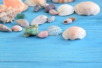 Many beautiful colorful exotic seashells with selective focus on blue wooden textured background. Summer vacation backdrop with colorful tropical sea shells. Beautiful summer flatlay with set of shell