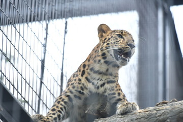 動物園