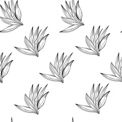 Strelizia tropical paradise pattern for print design. Floral seamless Flower background. Trendy spring blossom decoration.