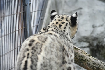 動物園