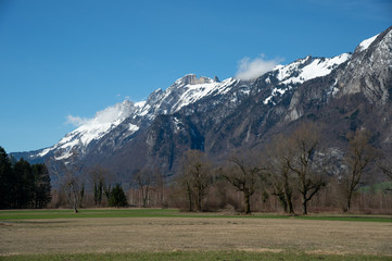 Vorfrühling im Oberen Rheintal