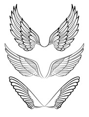 Wings. Elements for design