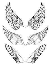 Fototapeta premium Wings. Elements for design