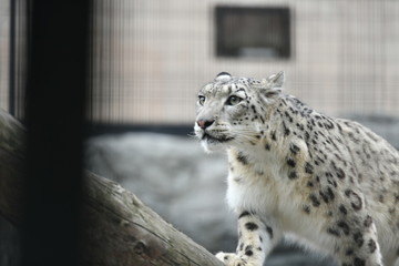 動物園