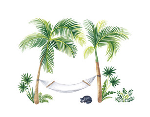  Watercolor illustration, hammock stretched between palm trees.