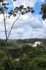 Argentinien Foz do Iguacu Wasserfall