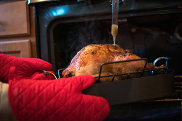 Turkey being basted in a large pan being pulled out of the oven with red oven mits