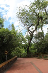 Argentinien Foz do Iguacu Wasserfall