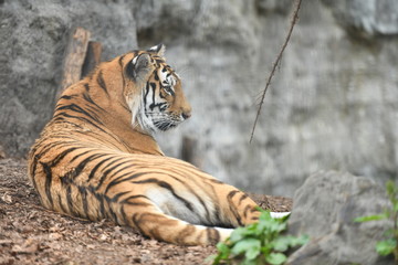 動物園