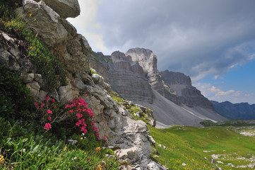 Naklejka premium The Dolomites in Modonna di Campiglio, Italy. Summer mountain scene.