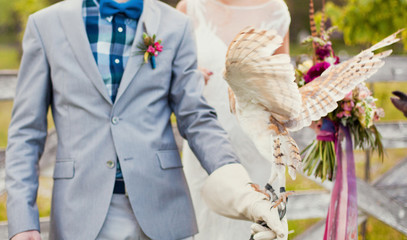 bride and groom holding barn owl © aprilante