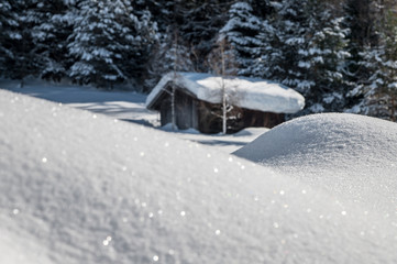 schneebedeckte almhütte bei sonnenschein mit wald im hintergrund, Seefeld, Tirol, Österreich, Alpen