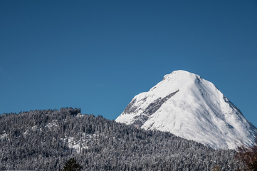 Fototapeta na wymiar Schneebedeckter Berggipfel mit Wald und blauem Himmel, Alpen, Bayern, Mittenwald, Deutschland