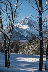 schneebedeckter Bergipfel vor blauem Himmel gerahmt von Bäumen, Alpen, Bayern, Mittenwald, Deutschland