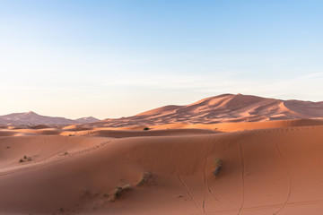 Fototapeta na wymiar Sand Dunes in the Sahara Desert during the Morning