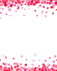 Fototapeta na wymiar White background with pink rose petals