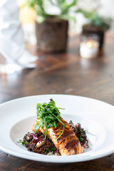 salmon