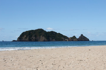 Obraz premium Great Barrier Island: Beach