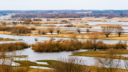 Rozlewiska Narwi. Góra Strękowa. Wiosna na Podlasiu © podlaski49