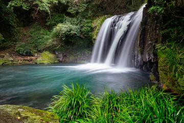 Fototapeta na wymiar Waterfall in green forest, Japan, horizontal