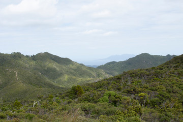 Fototapeta na wymiar Great Barrier Island: View of Mountain