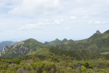 Great Barrier Island:  View of Mountain